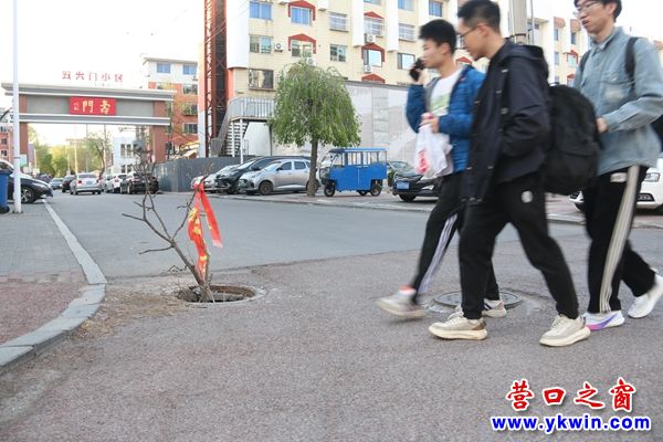 營(yíng)口：這里危險(xiǎn)  誰(shuí)來(lái)管管?!