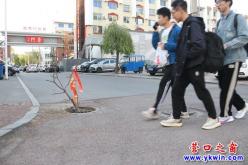 營(yíng)口：這里危險(xiǎn)  誰(shuí)來(lái)管管?!